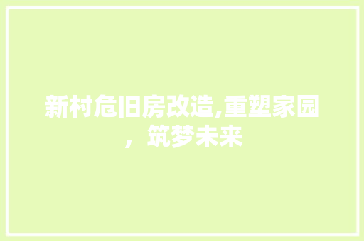 新村危旧房改造,重塑家园，筑梦未来