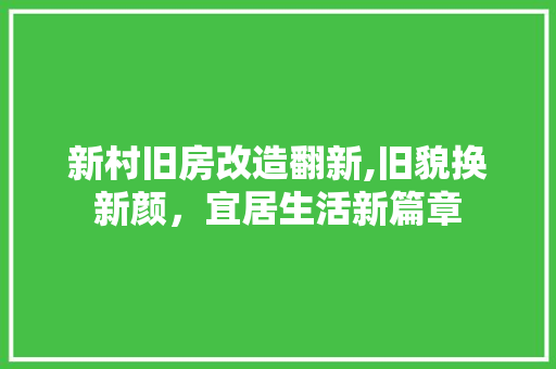 新村旧房改造翻新,旧貌换新颜，宜居生活新篇章