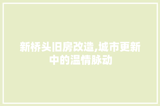 新桥头旧房改造,城市更新中的温情脉动