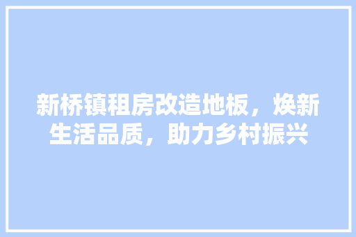 新桥镇租房改造地板，焕新生活品质，助力乡村振兴