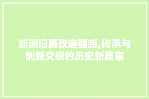 新洲旧房改造翻新,传承与创新交织的历史新篇章