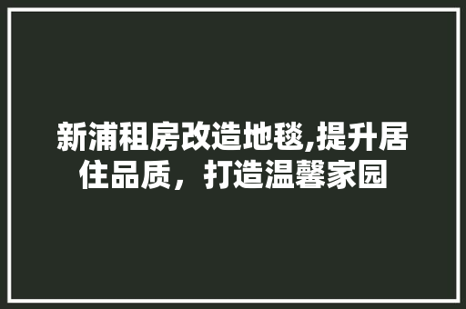 新浦租房改造地毯,提升居住品质，打造温馨家园