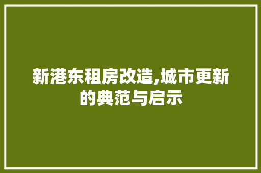 新港东租房改造,城市更新的典范与启示