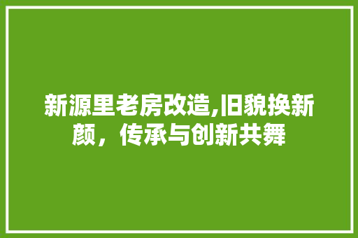 新源里老房改造,旧貌换新颜，传承与创新共舞