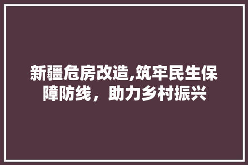 新疆危房改造,筑牢民生保障防线，助力乡村振兴