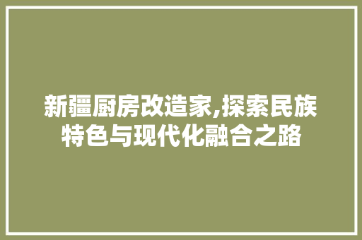 新疆厨房改造家,探索民族特色与现代化融合之路