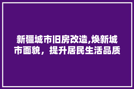 新疆城市旧房改造,焕新城市面貌，提升居民生活品质