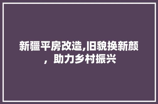新疆平房改造,旧貌换新颜，助力乡村振兴