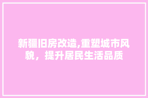 新疆旧房改造,重塑城市风貌，提升居民生活品质