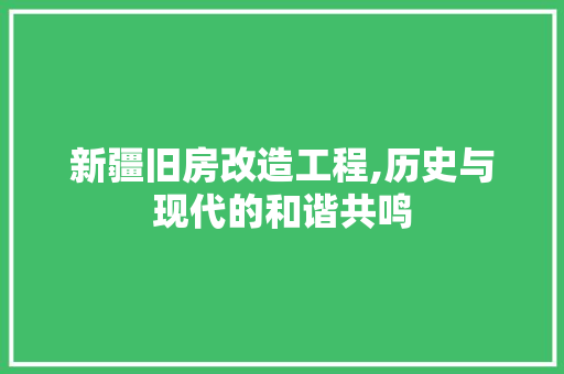 新疆旧房改造工程,历史与现代的和谐共鸣