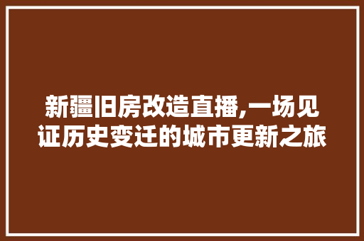 新疆旧房改造直播,一场见证历史变迁的城市更新之旅