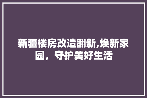 新疆楼房改造翻新,焕新家园，守护美好生活