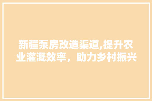 新疆泵房改造渠道,提升农业灌溉效率，助力乡村振兴