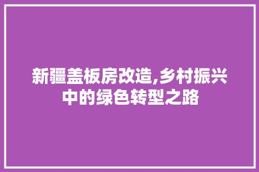 新疆盖板房改造,乡村振兴中的绿色转型之路