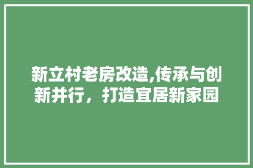 新立村老房改造,传承与创新并行，打造宜居新家园