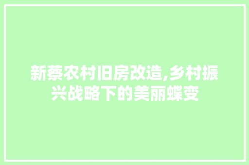 新蔡农村旧房改造,乡村振兴战略下的美丽蝶变