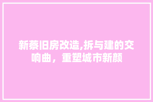 新蔡旧房改造,拆与建的交响曲，重塑城市新颜