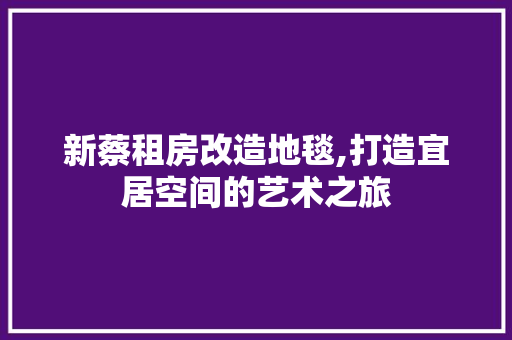新蔡租房改造地毯,打造宜居空间的艺术之旅
