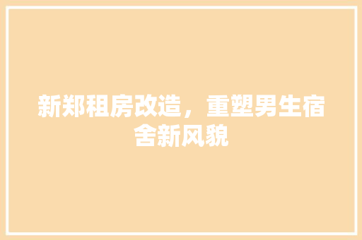 新郑租房改造，重塑男生宿舍新风貌