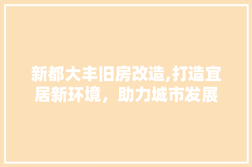 新都大丰旧房改造,打造宜居新环境，助力城市发展