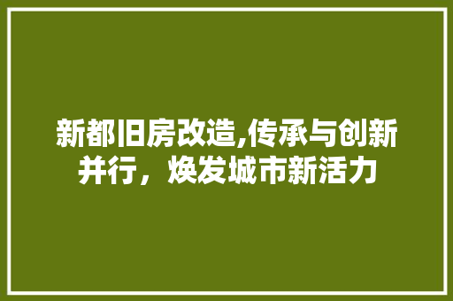 新都旧房改造,传承与创新并行，焕发城市新活力