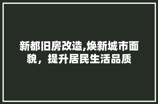 新都旧房改造,焕新城市面貌，提升居民生活品质