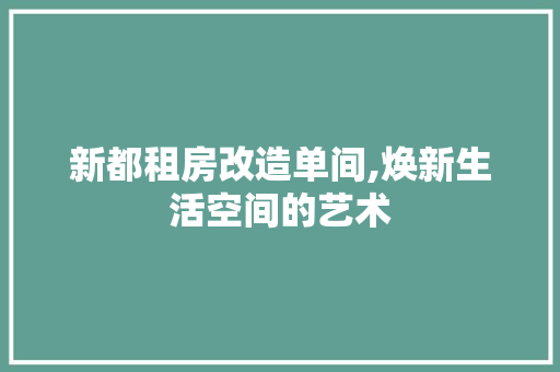 新都租房改造单间,焕新生活空间的艺术