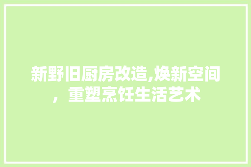 新野旧厨房改造,焕新空间，重塑烹饪生活艺术