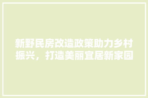 新野民房改造政策助力乡村振兴，打造美丽宜居新家园