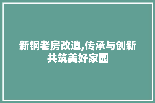 新钢老房改造,传承与创新共筑美好家园