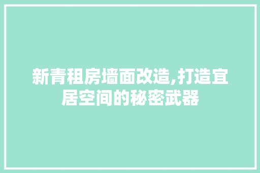 新青租房墙面改造,打造宜居空间的秘密武器
