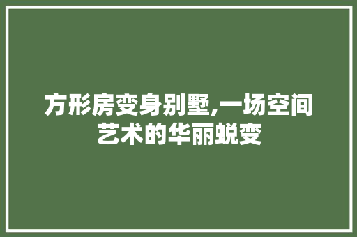 方形房变身别墅,一场空间艺术的华丽蜕变