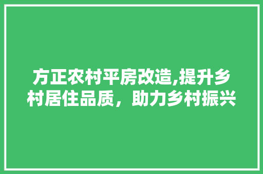 方正农村平房改造,提升乡村居住品质，助力乡村振兴