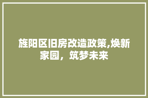 旌阳区旧房改造政策,焕新家园，筑梦未来