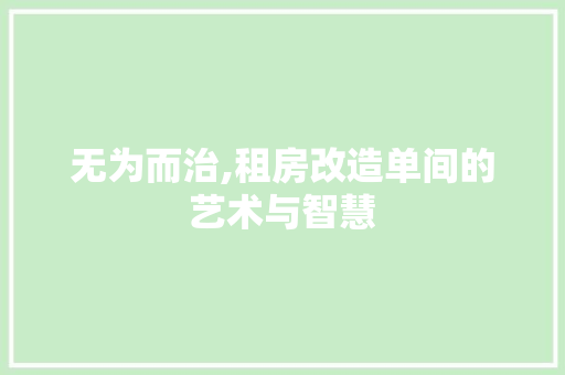 无为而治,租房改造单间的艺术与智慧