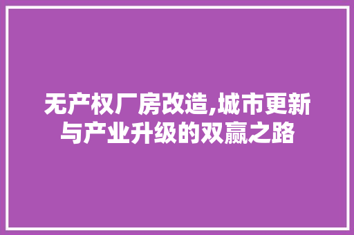 无产权厂房改造,城市更新与产业升级的双赢之路