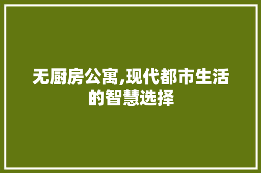 无厨房公寓,现代都市生活的智慧选择