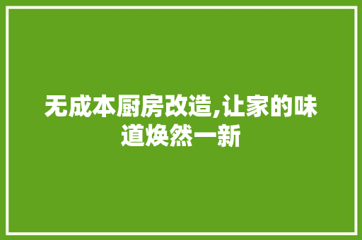 无成本厨房改造,让家的味道焕然一新