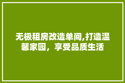 无极租房改造单间,打造温馨家园，享受品质生活