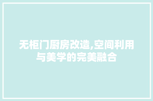 无柜门厨房改造,空间利用与美学的完美融合