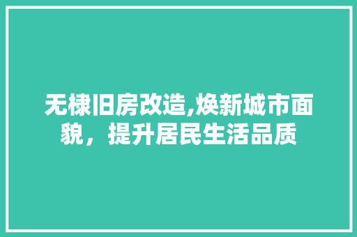 无棣旧房改造,焕新城市面貌，提升居民生活品质