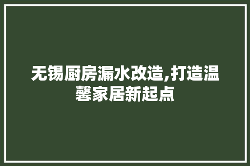 无锡厨房漏水改造,打造温馨家居新起点