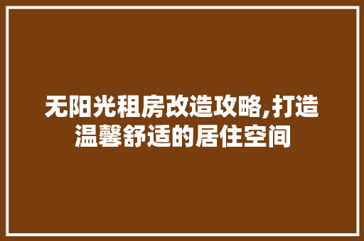 无阳光租房改造攻略,打造温馨舒适的居住空间