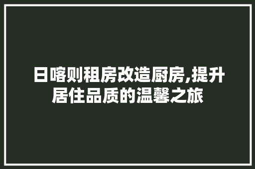 日喀则租房改造厨房,提升居住品质的温馨之旅