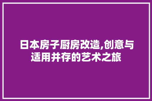 日本房子厨房改造,创意与适用并存的艺术之旅
