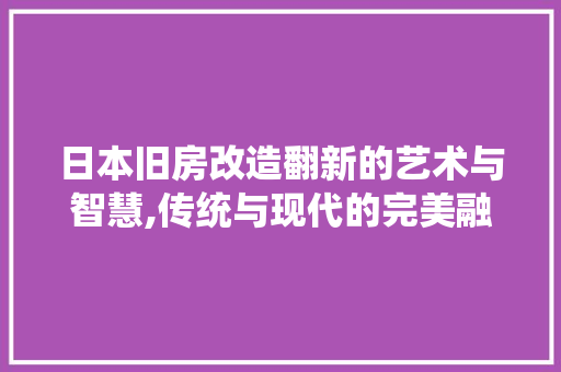 日本旧房改造翻新的艺术与智慧,传统与现代的完美融合