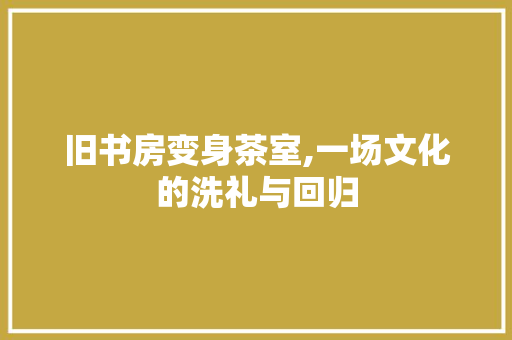 旧书房变身茶室,一场文化的洗礼与回归