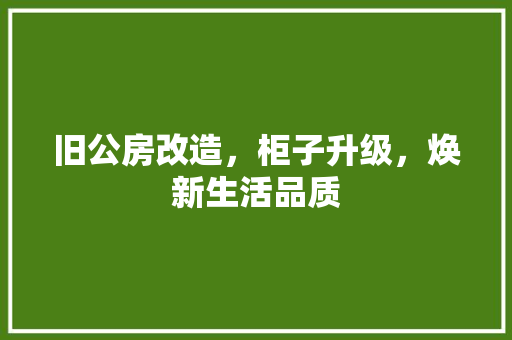 旧公房改造，柜子升级，焕新生活品质
