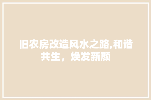 旧农房改造风水之路,和谐共生，焕发新颜