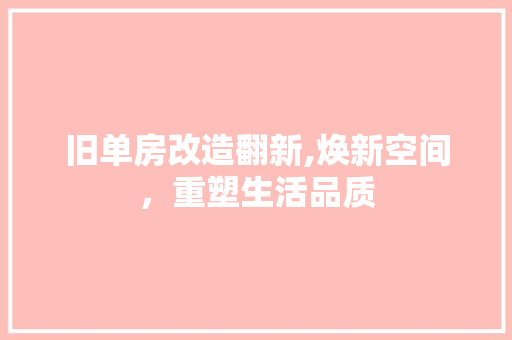 旧单房改造翻新,焕新空间，重塑生活品质